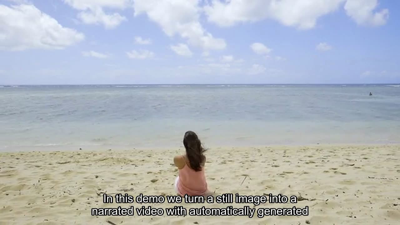 Same frame with default burn-in subtitles